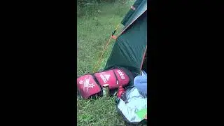 Solo Winter Camping in Snowy Forest | Nature Sounds #WinterCamping #SnowASMR #SoloSurvival