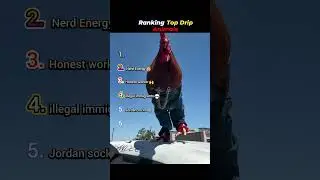 Ranking Top Drip Animals