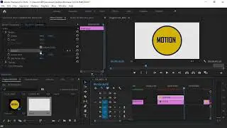 Jifunze Video Editing: Kuipa Picha Motion (Adobe Premiere Pro)