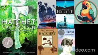 Hatchet Book Review