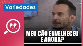 Cuidado com c&atilde;es idosos &ndash; 11/07/23