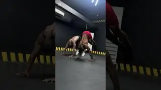 Bodybuilder vs calisthenics