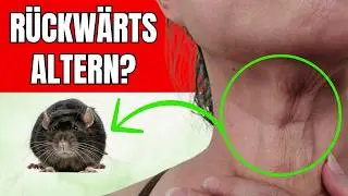 Ewig jung? Forschern gelingt Umkehrung des Alterungsprozesses!