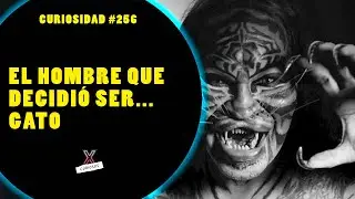 DENNIS AVNER: EL HOMBRE GATO DE LA VIDA REAL