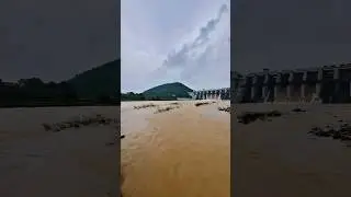 Chandil dam jamshedpur #flood #heavyraining #jamshedpur #chandildam #shorts