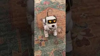 🐾🎉 Check out this Smart Robot Dog Toy! It&rsquo;s USB rechargeable and super fun! 🎮🤖 You can program