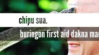 Chipu suani sam. Buringon mana. (First aid for snake bites)