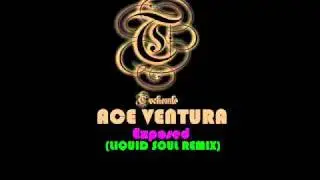 Ace ventura - Exposed (Liquid soul remix)
