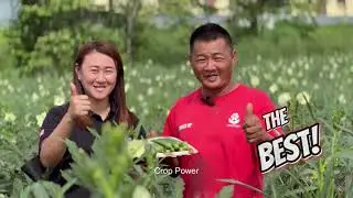 Rahsia Petani Peroleh Kejayaan!