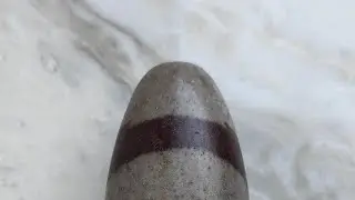 Лингам Нармадешвар