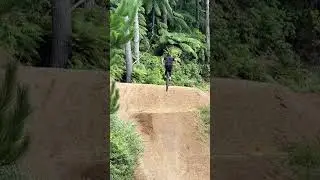 Marin Alpine Trail Carbon = Made for Fun