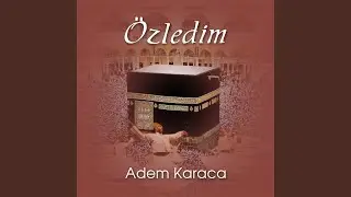 Gidemedim