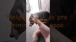 quando a depre escurece meu cora&ccedil;&atilde;o,  a luz dele ilumine minha alma,#viral#dog#shorts#triste