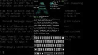 R running in Arch Linux on Android Phone via termux