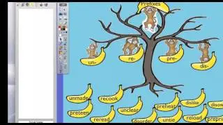 Categorize Activity