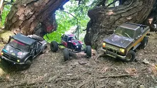 Crawlen im Wald mit Axial Umg10 Unimog Truck Trail, Axial Capra 4Ws, Fms Fcx10 Chevy,Die Stoakraxler