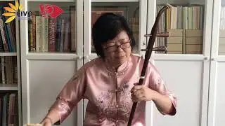 【CIVO x Toronto Chinese Orchestra】Patty's Erhu 音乐采访