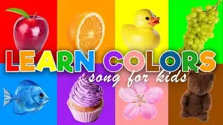 Learn Colors with This Fun Song | Color Recognition for Kids | Easy Learning for Toddlers