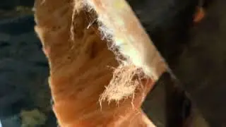 DUCT INSPECTION