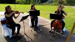 Trio Dolce -  With Or Without You (U2)