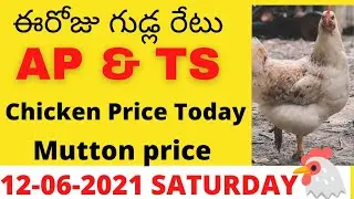 Today Chicken Eggs Rates |Mutton | Daily Rates Andhra Telangana | NCC India