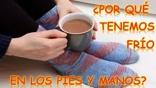 &iquest;POR QU&Eacute; TENEMOS FR&Iacute;O EN LOS PIES Y MANOS? : CurioCiencia