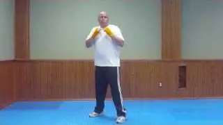 Manny Martinez boxing lesson 1  basic punches & jump rope The Fight Huddle