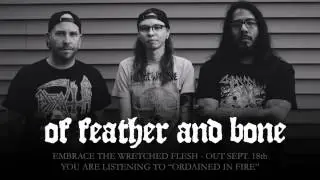 Of Feather And Bone | Ordained In Fire | Official Stream