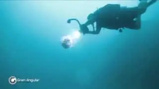 Malapascua. Philippines (Top Dive Sites)