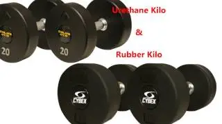 GP Industries Dumbbells, Plates, and Olympic Bars