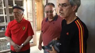 Octávio Ribeiro Wijnands Holanda 2015
