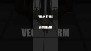 VEGAN RUN SPEEDRUN ANY% :20