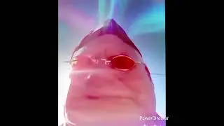 Fat Chance