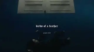 billie eilish - birds of a feather (slowed)