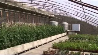 Solar Glass Water Heaters Warm North Koreans