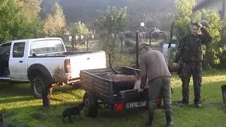 Hunting redstags polen 2017