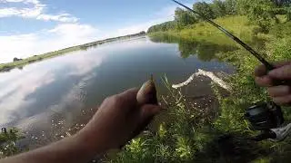 Микроджиг на озере