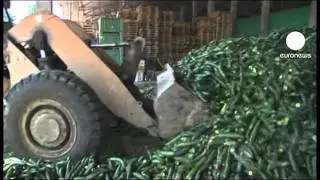 Europe's farmers angry over 'killer' cucumber crisis