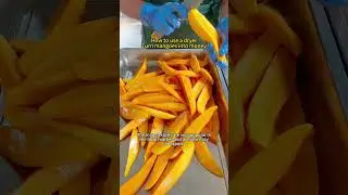 How to make dried mango with dryer to create wealth #mango #cassavadryer #tomatodryer #oniondryer
