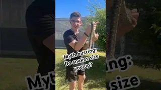 MYTH BUSTING: Do snakes size you up?? #shorts