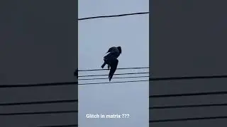 Glitch in matrix &hellip;. Bird floating or frozen in sky