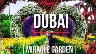 Dubai Miracle Garden 2020 #Dubaimiraclegarden