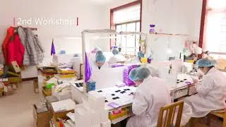 Display of Our Eyelash Factory