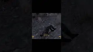 Getting Lever-action shotgun early game. #falloutnewvegasgameplay