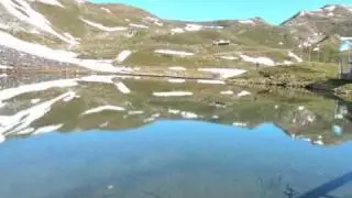 Frozen Plasma - Vanishing Star