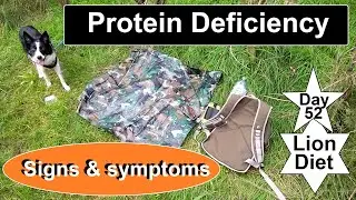 Protein Deficiency Signs & symptoms. Day 52 on the lion diet: update & information. #Liondiet: