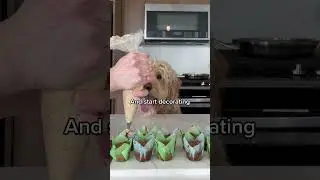 Yummy frosting for pupcakes #dogrecipes #dogtreats