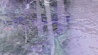 Eerie swampshort