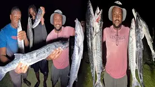 Wild BARRACUDA Frenzy! Non Stop Hookups 🎣🔥