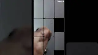 Our Funny Cockatiel Glamour Video